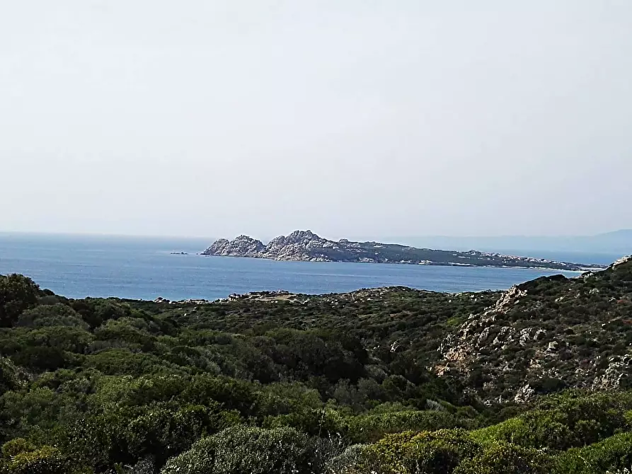Immagine 9 di Terreno agricolo in vendita  in SP90 s.n.c. a Santa Teresa Gallura