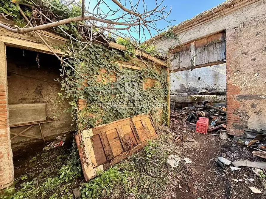 Immagine 25 di Casa indipendente in vendita  in Via Sciarelle 157 a Acireale