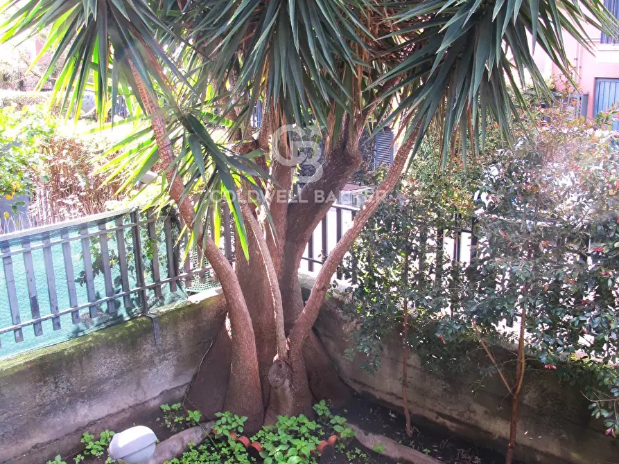 Immagine 31 di Appartamento in vendita  in via Bellini 17 a San Gregorio Di Catania