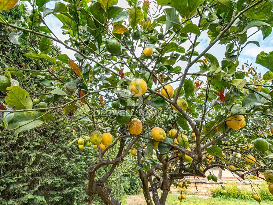 Immagine 23 di Villa in vendita  in Via Piano San Paolo 12 a Caltagirone