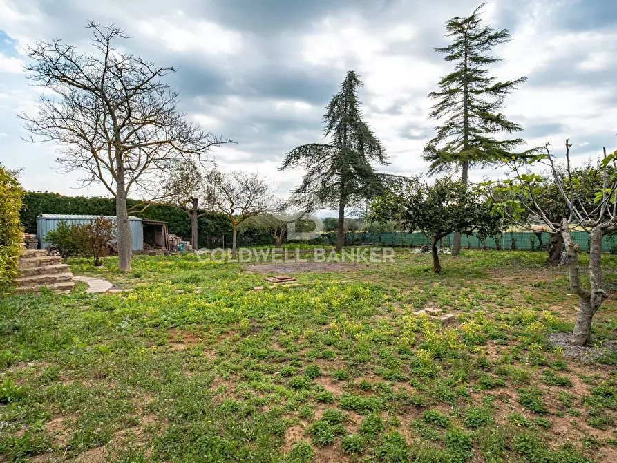 Immagine 24 di Villa in vendita  in Via Piano San Paolo 12 a Caltagirone