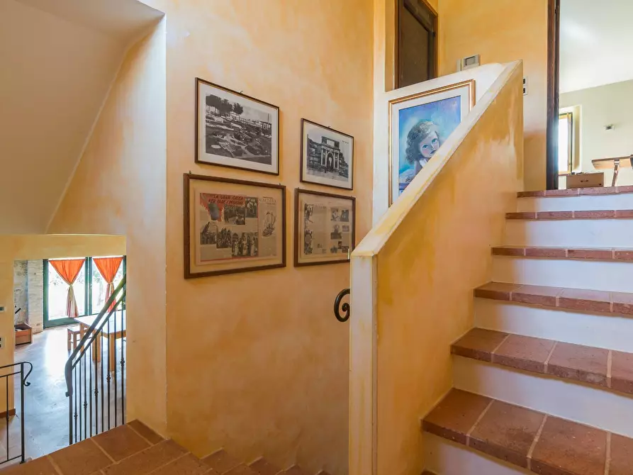 Immagine 23 di Villa in vendita  in Via Dei Salici a Pesaro