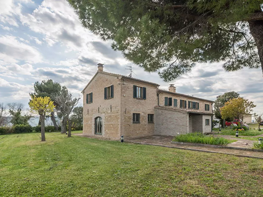 Immagine 36 di Villa in vendita  in Via Dei Salici a Pesaro