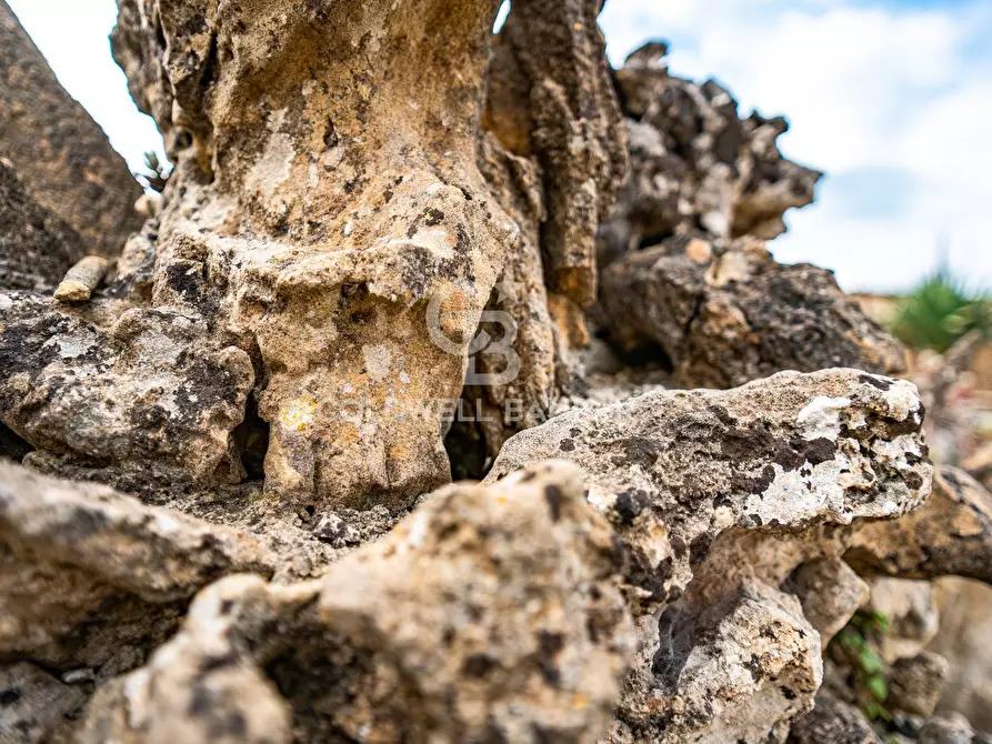 Immagine 10 di Villa in vendita  in Piano San Paolo 85 a Caltagirone