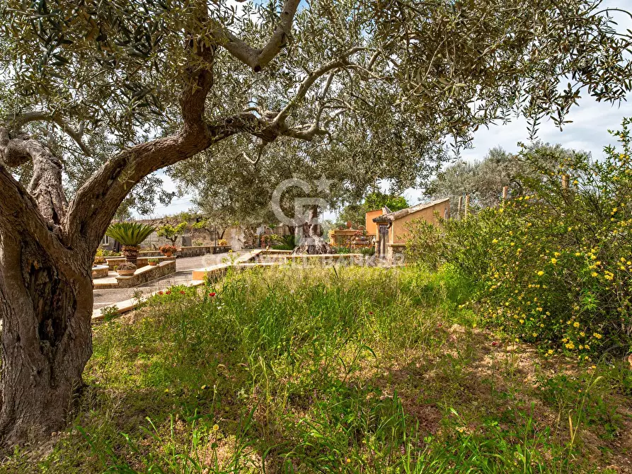 Immagine 14 di Villa in vendita  in Piano San Paolo 85 a Caltagirone
