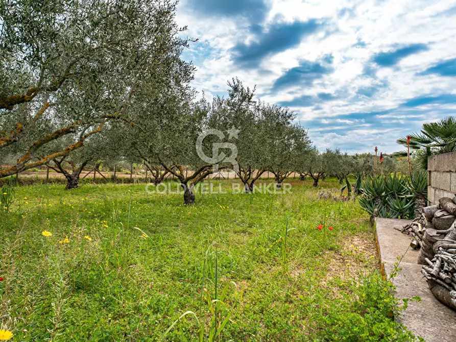 Immagine 16 di Villa in vendita  in Piano San Paolo 85 a Caltagirone