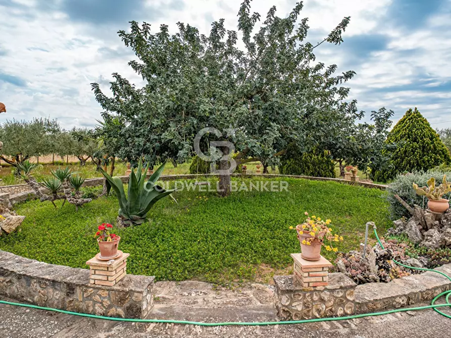 Immagine 23 di Villa in vendita  in Piano San Paolo 85 a Caltagirone