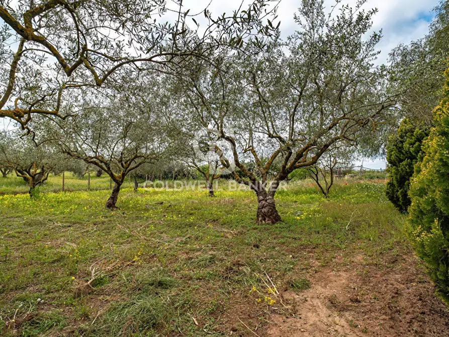 Immagine 27 di Villa in vendita  in Piano San Paolo 85 a Caltagirone