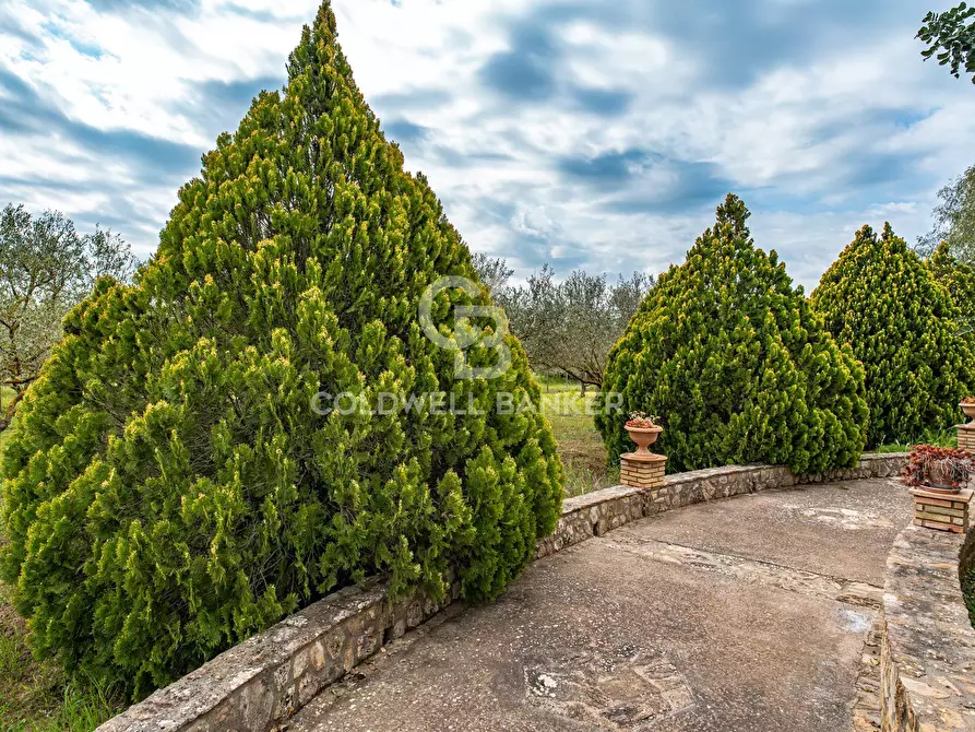 Immagine 28 di Villa in vendita  in Piano San Paolo 85 a Caltagirone