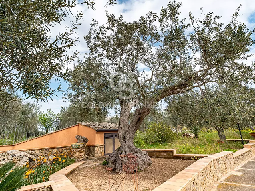 Immagine 49 di Villa in vendita  in Piano San Paolo 85 a Caltagirone