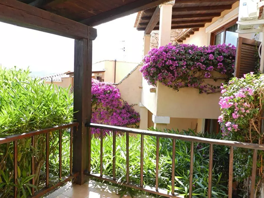 Immagine 15 di Palazzo in vendita  in Via Libertà s.n.c. a Aggius