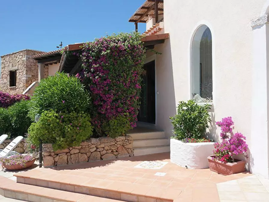 Immagine 14 di Palazzo in vendita  in Via Libertà s.n.c. a Aggius