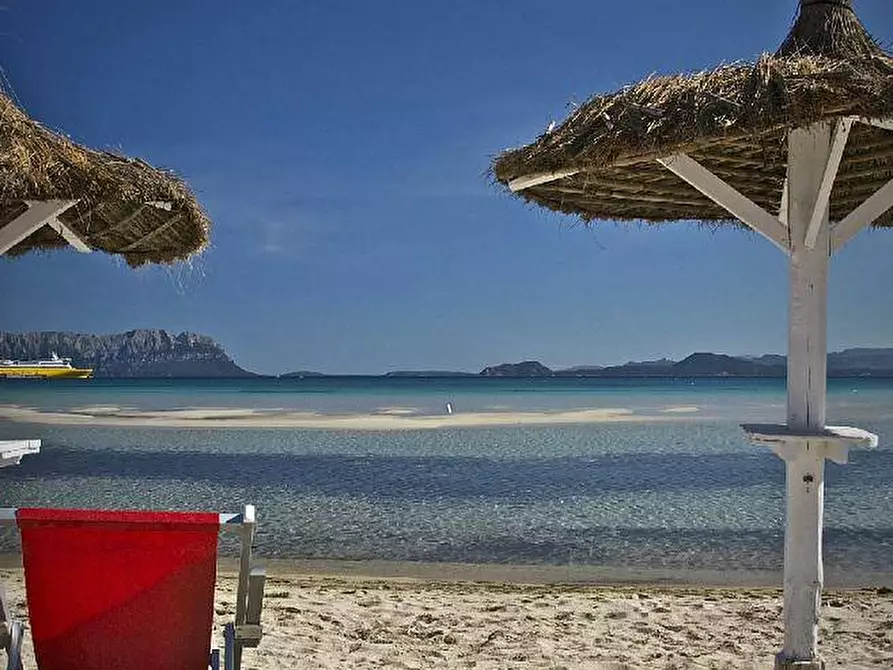 Immagine 13 di Palazzo in vendita  in Via Libertà s.n.c. a Aggius