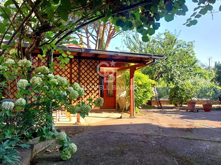 Immagine 20 di Villa in vendita  in Via Mentana 10 a Vetralla