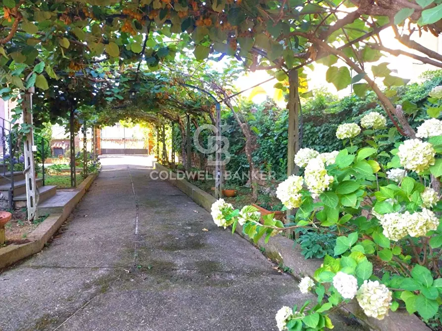 Immagine 21 di Villa in vendita  in Via Mentana 10 a Vetralla