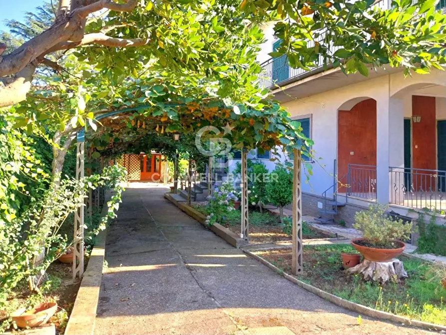 Immagine 22 di Villa in vendita  in Via Mentana 10 a Vetralla