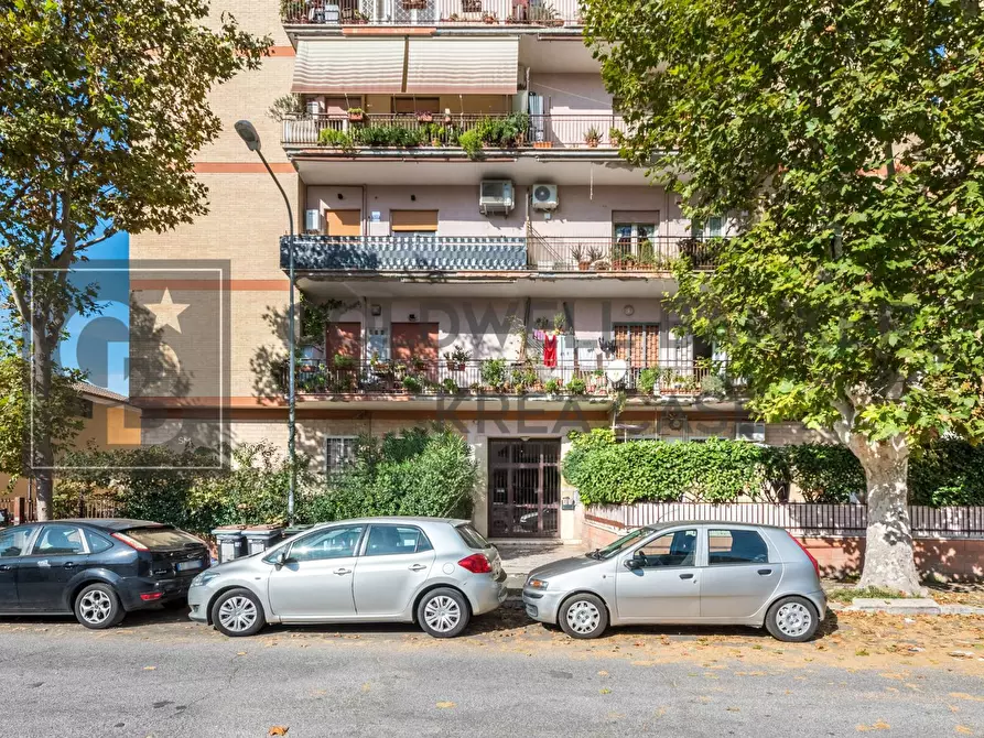 appartamento in affitto a Ciampino