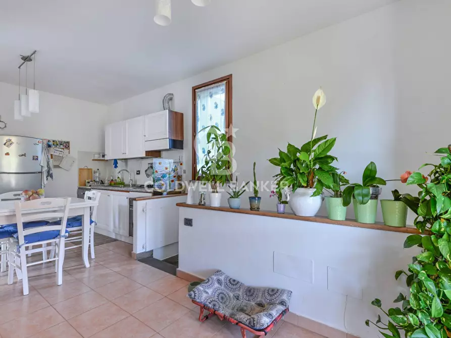 Immagine 7 di Appartamento in vendita  in Via della Valle 9 a Portoferraio