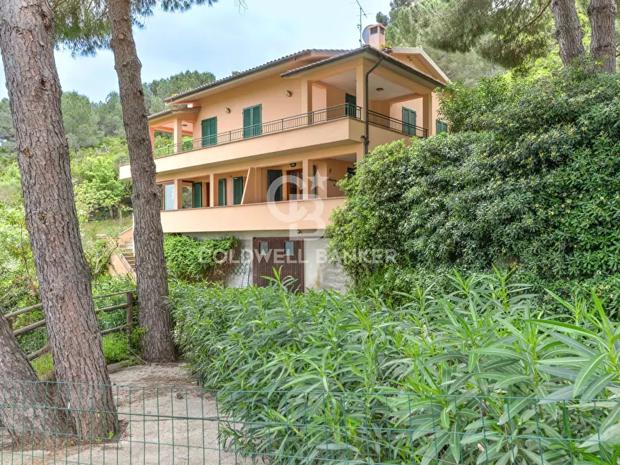 Immagine 29 di Appartamento in vendita  in Via di San Piero a Campo Nell'elba