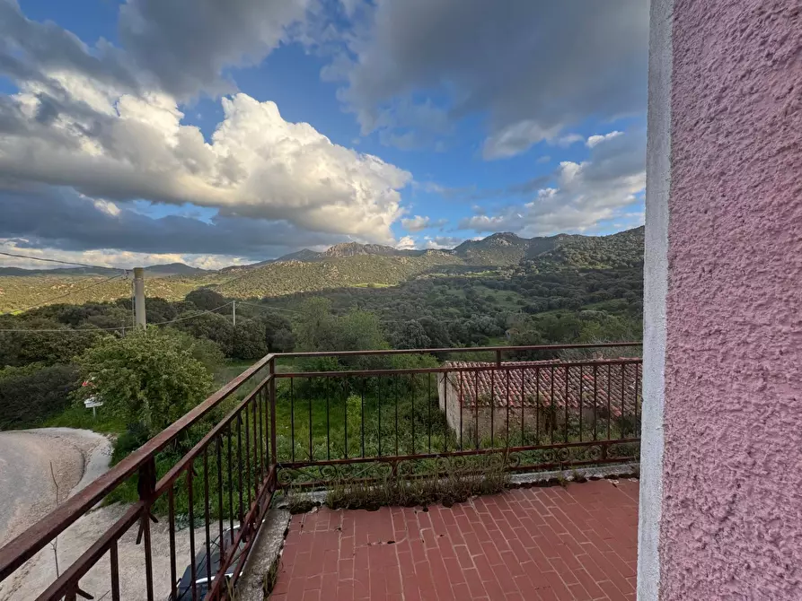 Immagine 2 di Villa in vendita  in Berchiddeddu FRAZ. SOS CODDOS a Aggius