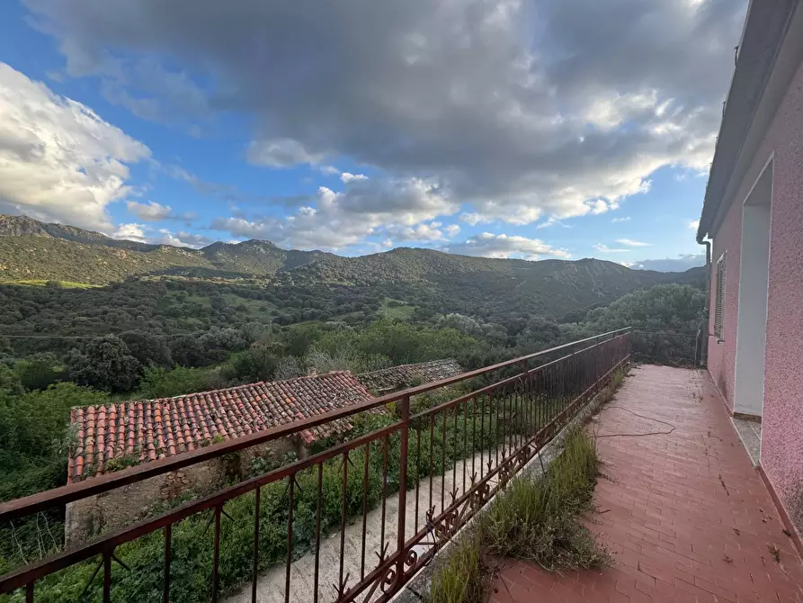 Immagine 9 di Villa in vendita  in Berchiddeddu FRAZ. SOS CODDOS a Aggius