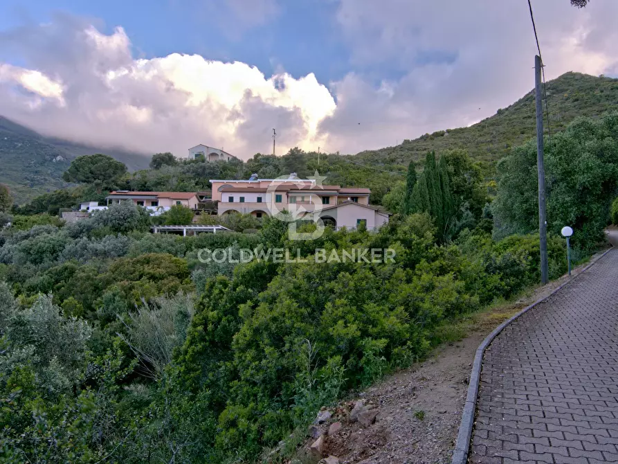 Immagine 24 di Appartamento in vendita  in Via Solana a Campo Nell'elba