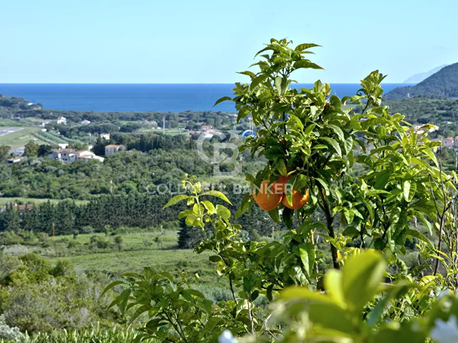 Immagine 20 di Appartamento in vendita  in Via Solana a Campo Nell'elba