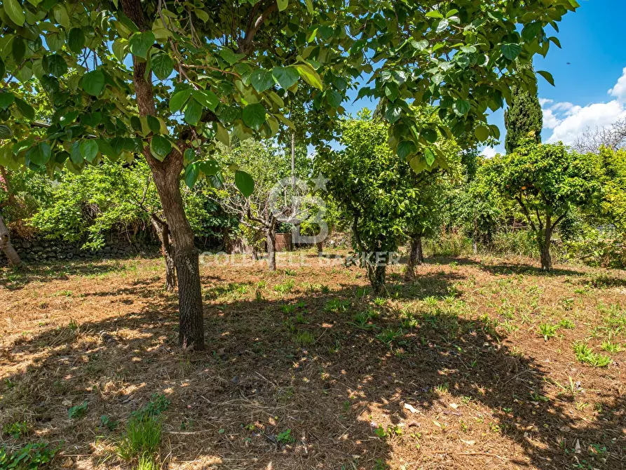 Immagine 9 di Villa in vendita  in Via Prov. le Per S. M. Ammalati 187/A a Acireale