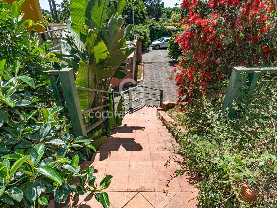 Immagine 4 di Villa in vendita  in Via Prov. le Per S. M. Ammalati 187/A a Acireale