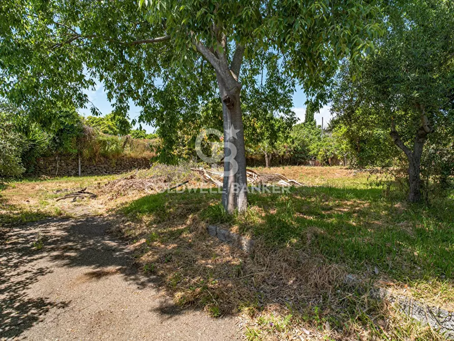 Immagine 74 di Villa in vendita  in Via Prov. le Per S. M. Ammalati 187/A a Acireale