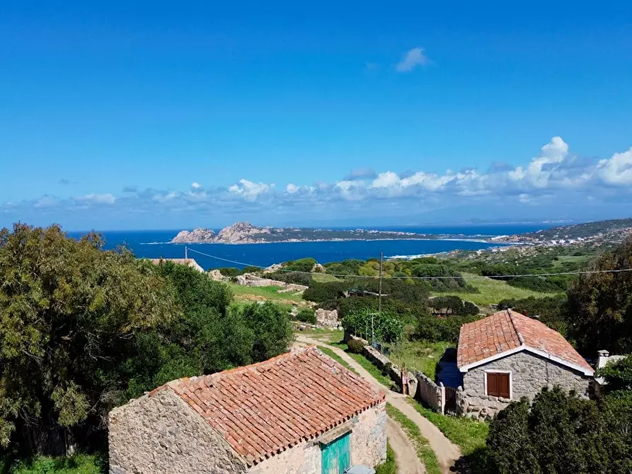 Immagine 3 di Terreno agricolo in vendita  in SP90 s.n.c. a Santa Teresa Gallura