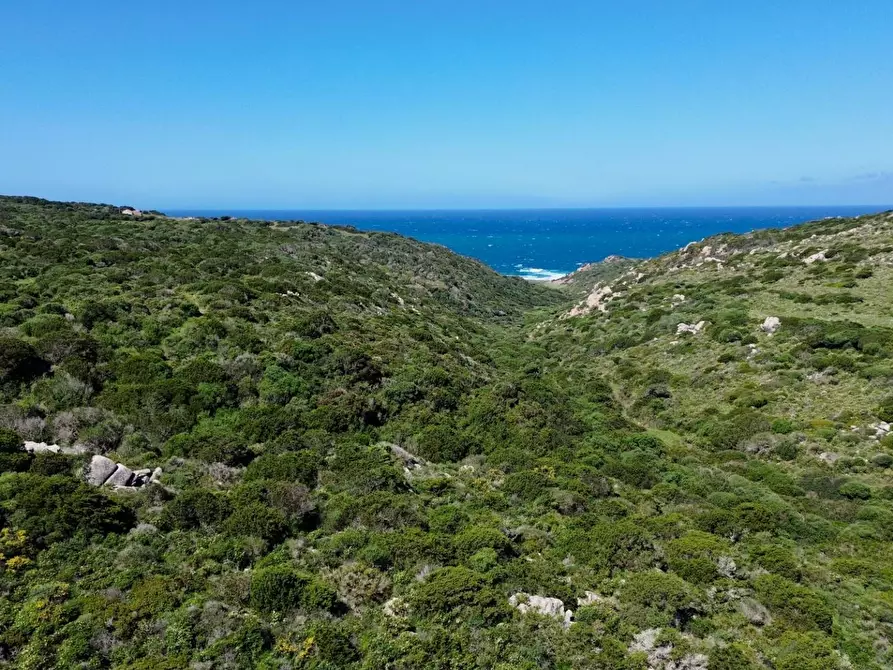 Immagine 4 di Terreno agricolo in vendita  in SP90 s.n.c. a Santa Teresa Gallura