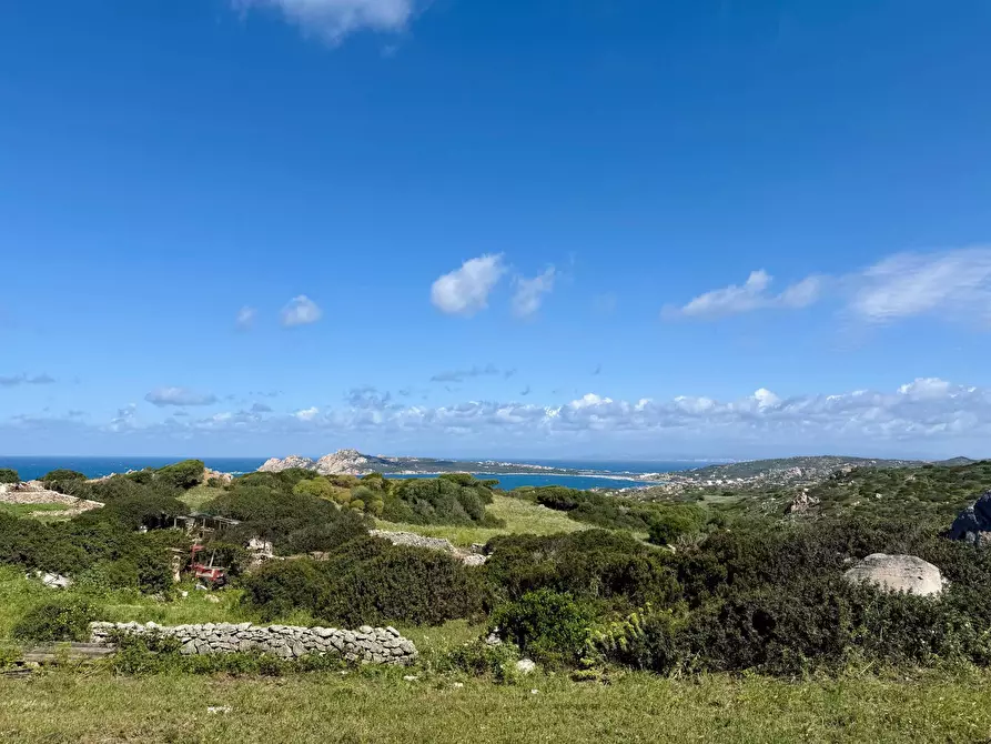 Immagine 6 di Terreno agricolo in vendita  in SP90 s.n.c. a Santa Teresa Gallura