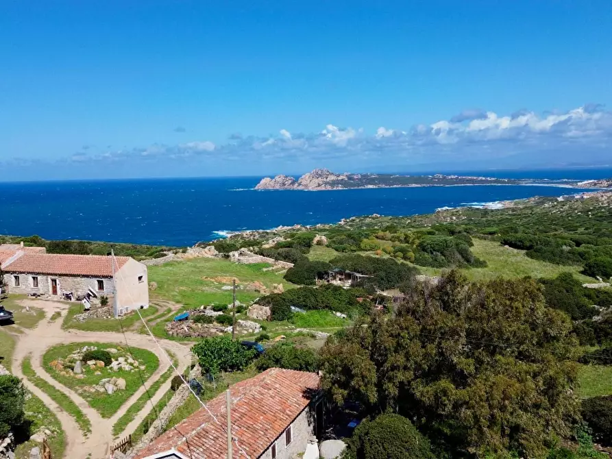 Immagine 7 di Terreno agricolo in vendita  in SP90 s.n.c. a Santa Teresa Gallura