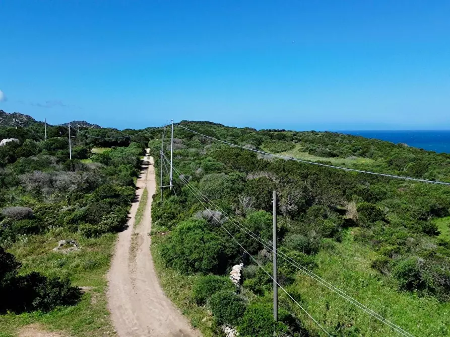 Immagine 2 di Terreno agricolo in vendita  in SP90 s.n.c. a Santa Teresa Gallura