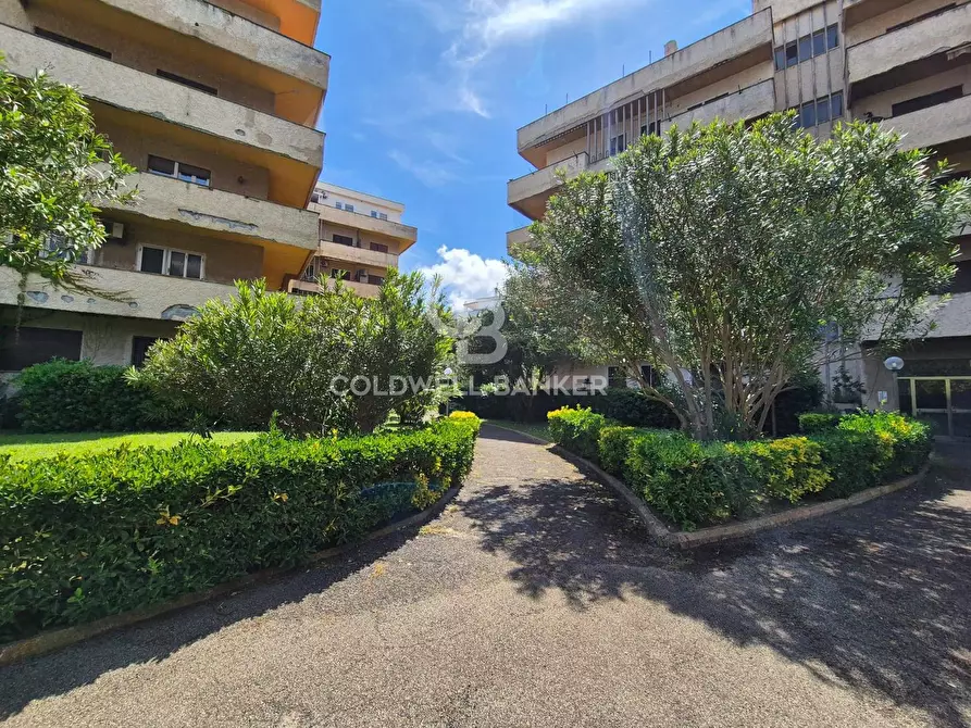 Immagine 9 di Appartamento in vendita  in Via Giovanni Da Verrazzano 10 a Tarquinia