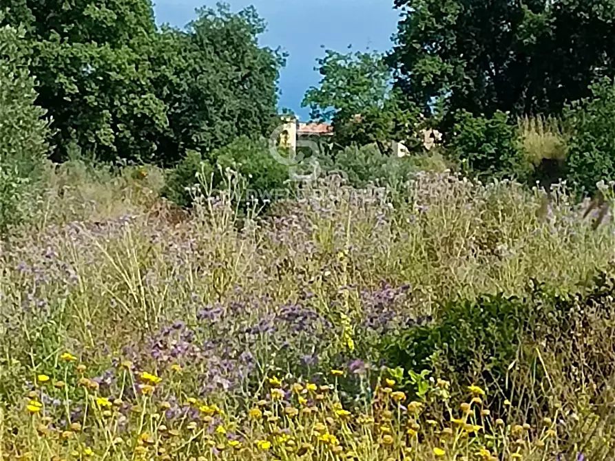 Immagine 7 di Terreno agricolo in vendita  in via Sclafani 23 a Acireale