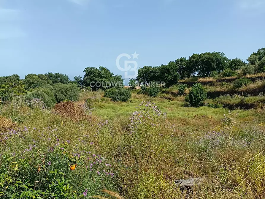Immagine 6 di Terreno agricolo in vendita  in via Sclafani 23 a Acireale