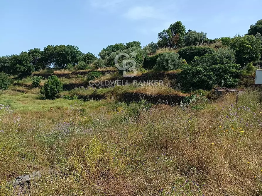 Immagine 9 di Terreno agricolo in vendita  in via Sclafani 23 a Acireale
