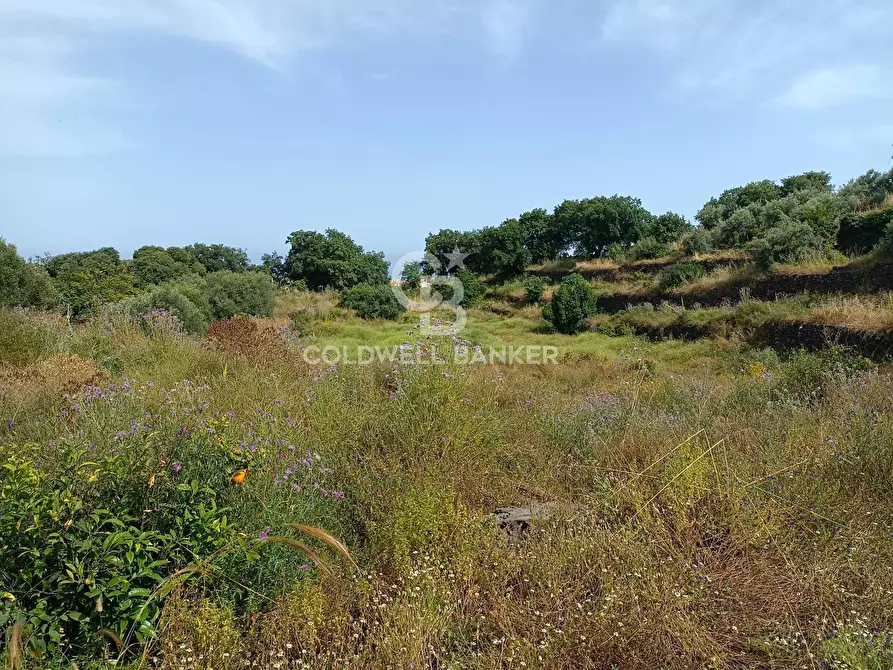 Immagine 10 di Terreno agricolo in vendita  in via Sclafani 23 a Acireale