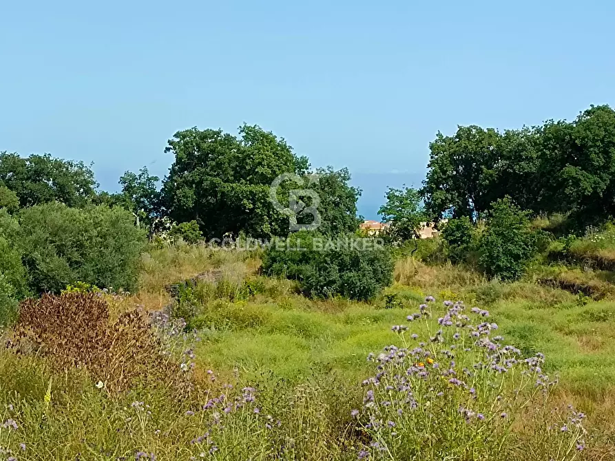 Immagine 11 di Terreno agricolo in vendita  in via Sclafani 23 a Acireale