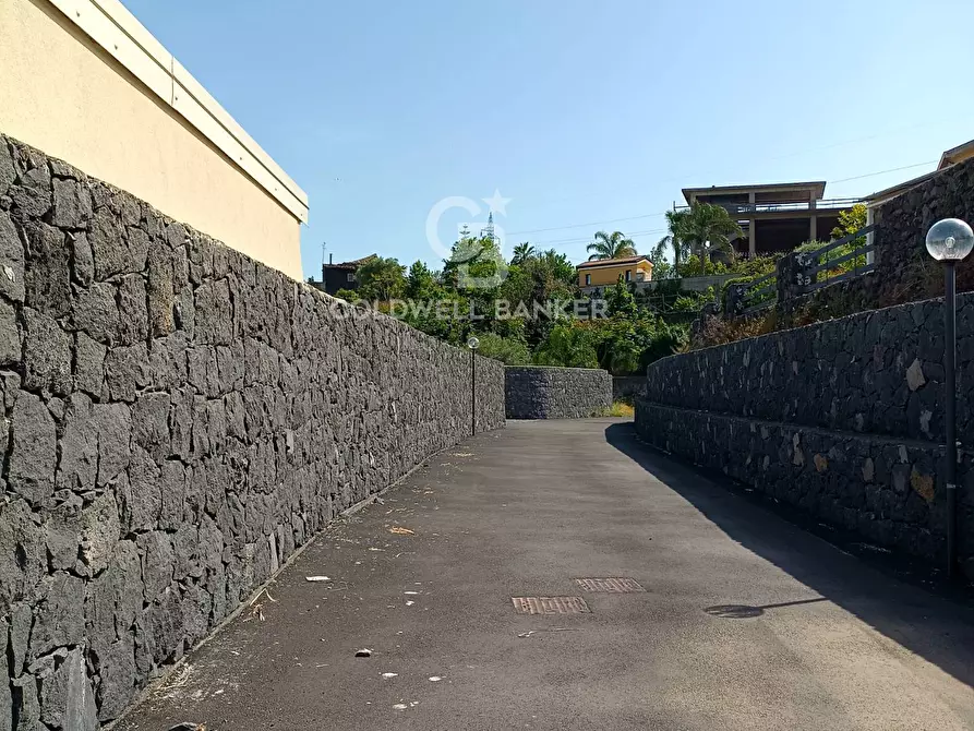 Immagine 4 di Terreno agricolo in vendita  in via Sclafani 23 a Acireale