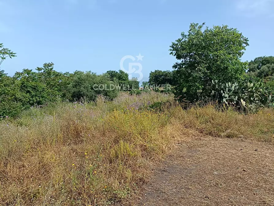 Immagine 12 di Terreno agricolo in vendita  in via Sclafani 23 a Acireale