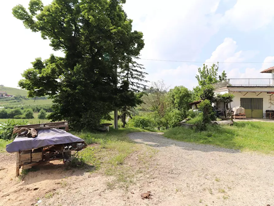 Immagine 21 di Rustico / casale in vendita  in Regione Bologna a Agliano Terme