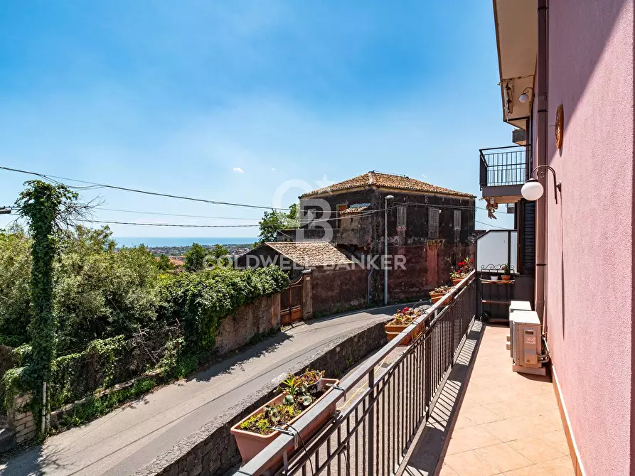 Immagine 36 di Villa in vendita  in Via Chiesa di Tagliaborse 24 a Mascali