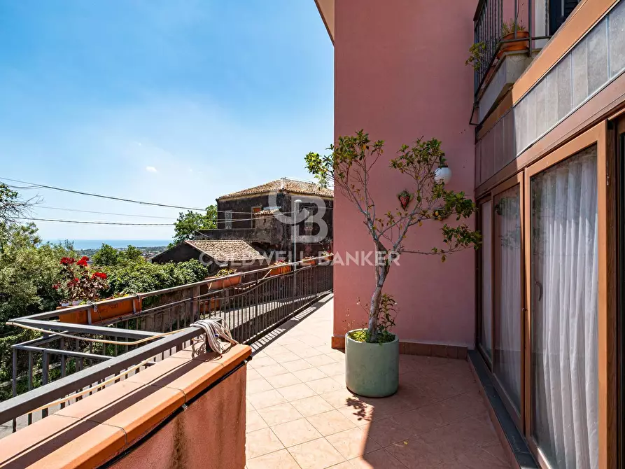 Immagine 55 di Villa in vendita  in Via Chiesa di Tagliaborse 24 a Mascali