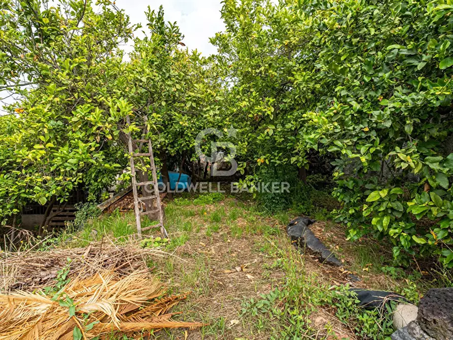 Immagine 2 di Villa in vendita  in Via Vitt Emanuele III 204 a Acireale