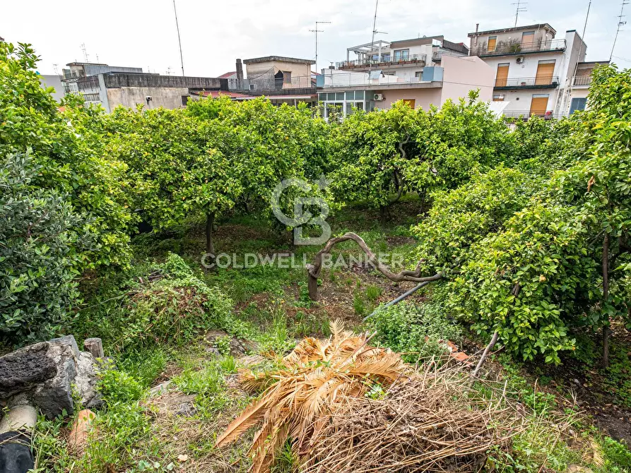 Immagine 3 di Villa in vendita  in Via Vitt Emanuele III 204 a Acireale