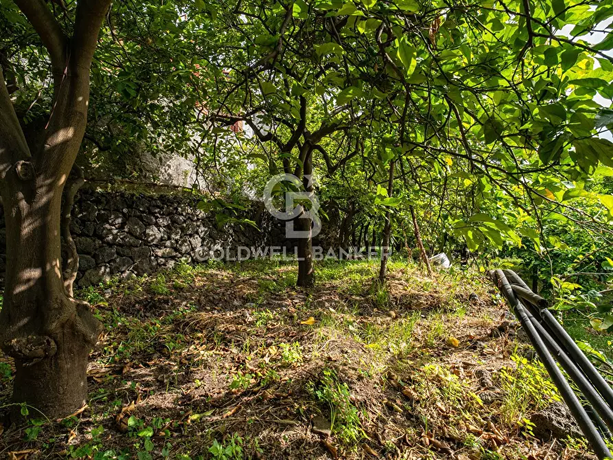 Immagine 5 di Villa in vendita  in Via Vitt Emanuele III 204 a Acireale