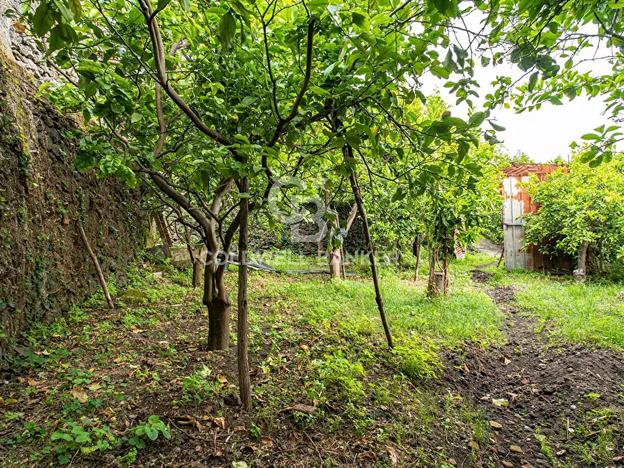 Immagine 7 di Villa in vendita  in Via Vitt Emanuele III 204 a Acireale